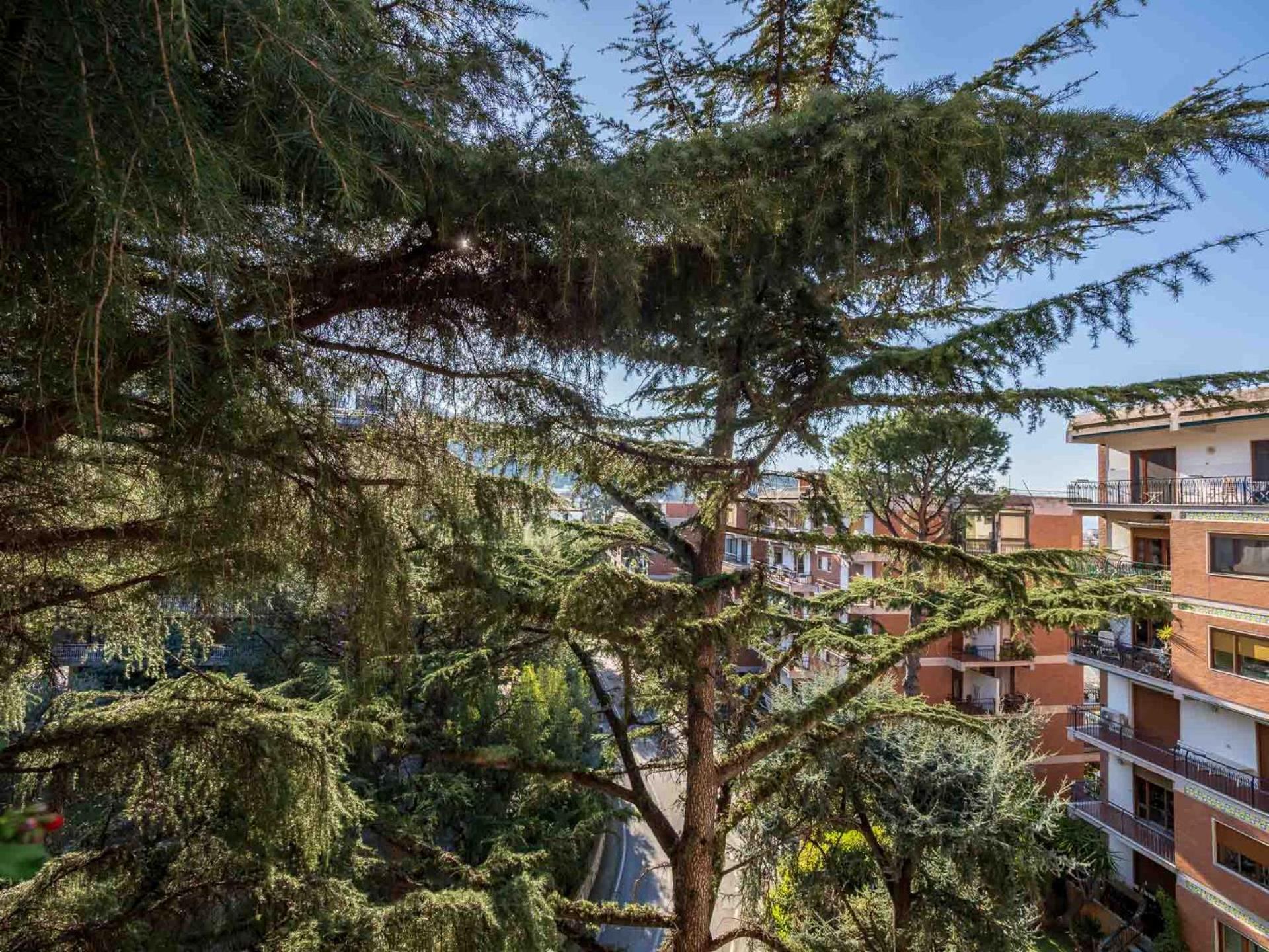 Pine House Sorrento 아파트 외부 사진